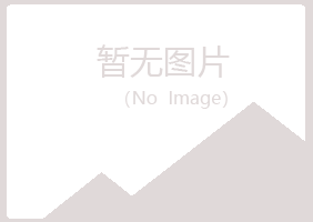 大关县山柏农业有限公司